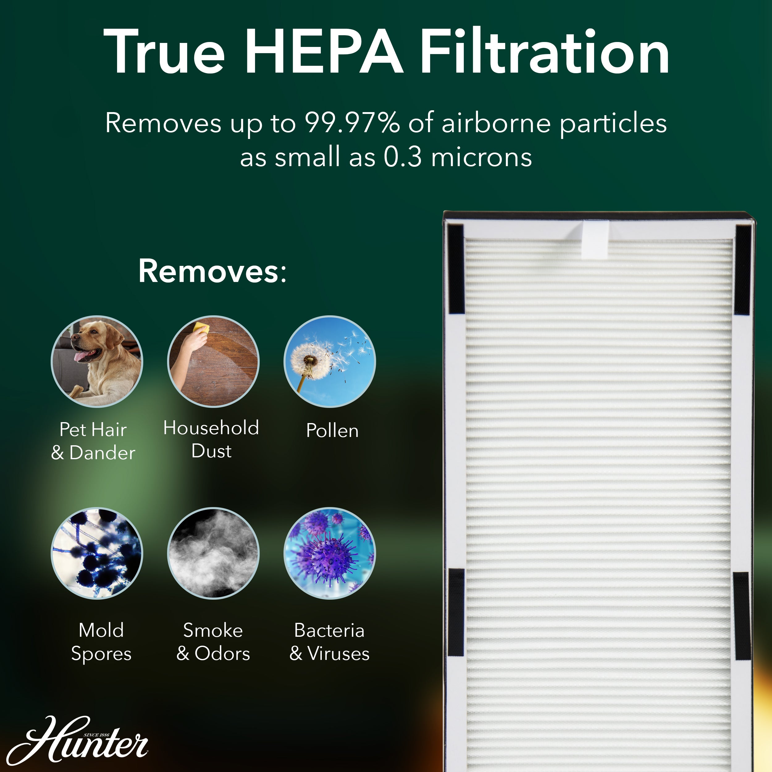 Hunter HP600 Tall Tower Air Purifier