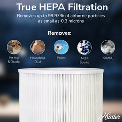 HP670 Large Tower True HEPA Air Purifier